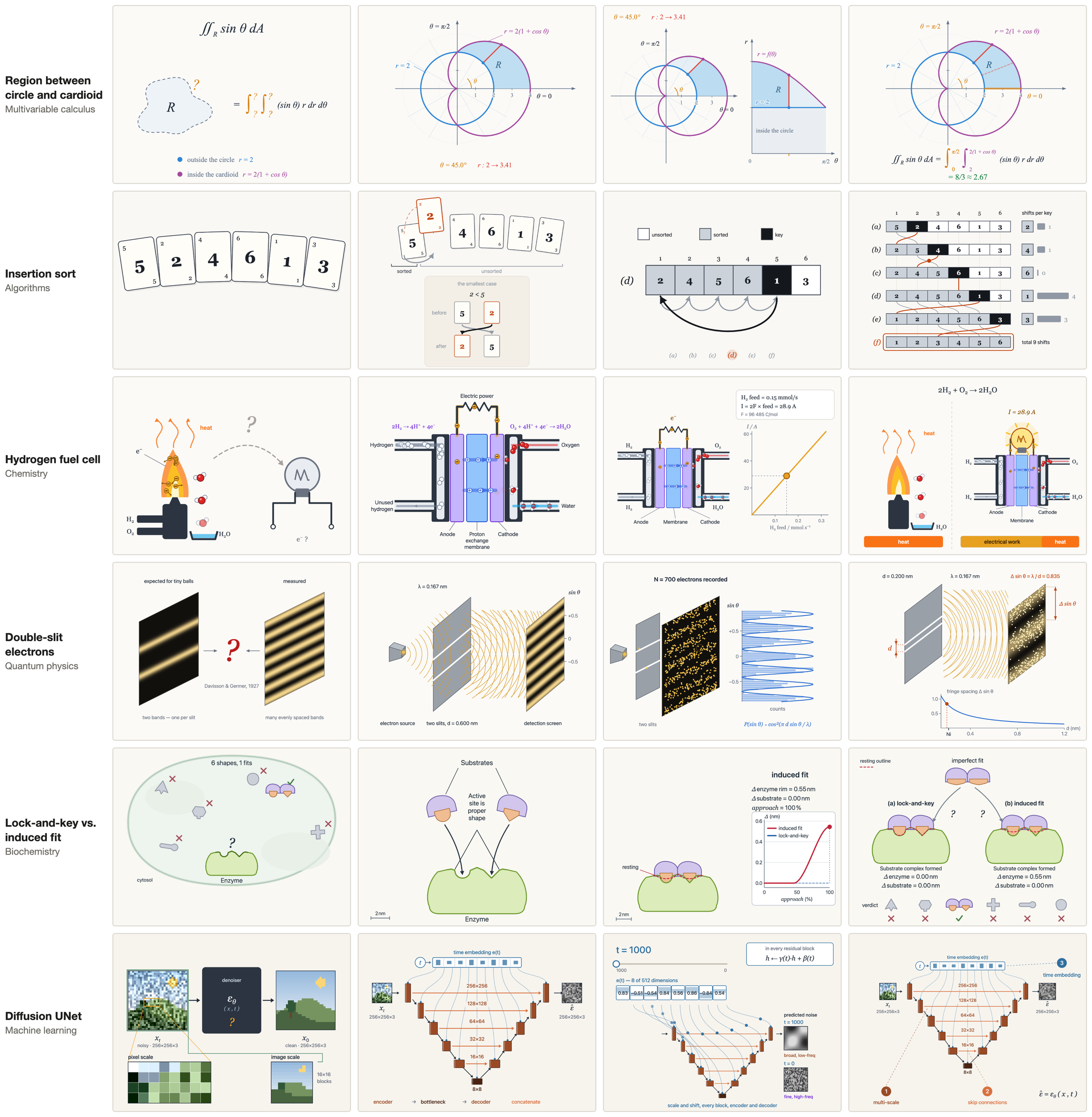 Storyboards of six generated figures, four states each: region between a circle and a cardioid, insertion sort, hydrogen fuel cell, double-slit electrons, lock-and-key versus induced fit, and the diffusion U-Net.